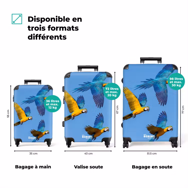 Valise - Perroquet - Voler - Bleu - Jaune — 3