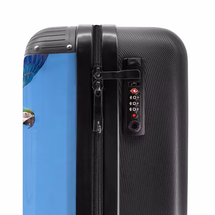 Valise - Perroquet - Voler - Bleu - Jaune — 6