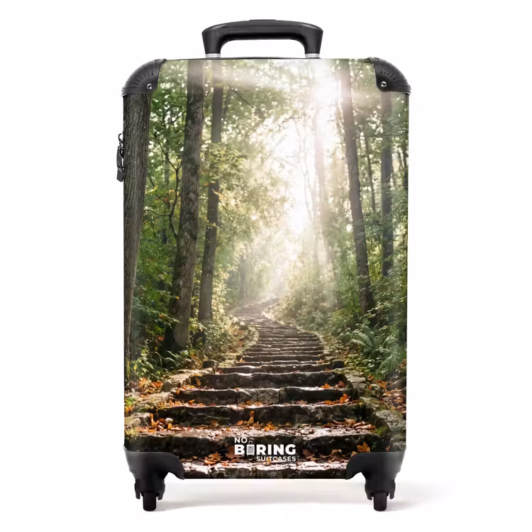 Valise - Pierres - Escalier - Forêt - Nature — 1