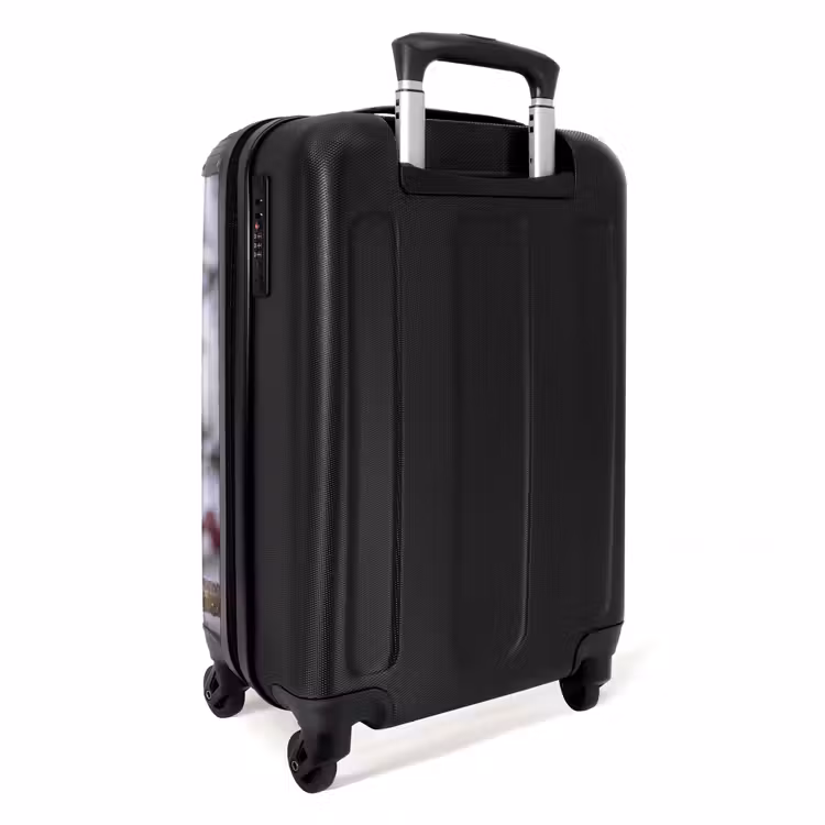 Valise - Pitire - Baies - Hiver - Nature — 4