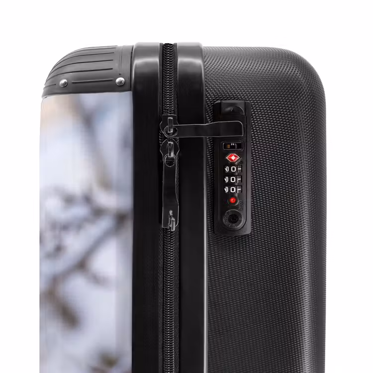 Valise - Pitire - Baies - Hiver - Nature — 6