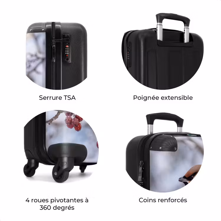 Valise - Pitire - Baies - Hiver - Nature — 8