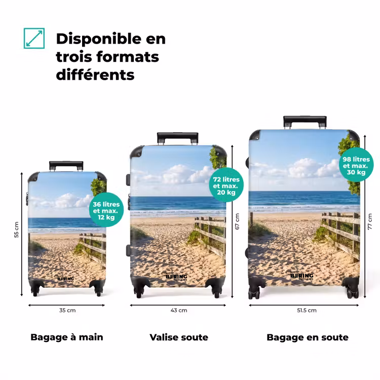 Valise - Plage - Chemin de sable - Océan - Nature — 3