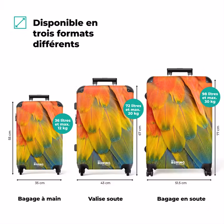 Valise - Plumes - Ara - Colorées — 3