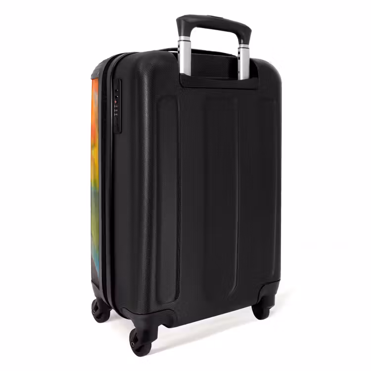 Valise - Plumes - Ara - Colorées — 4