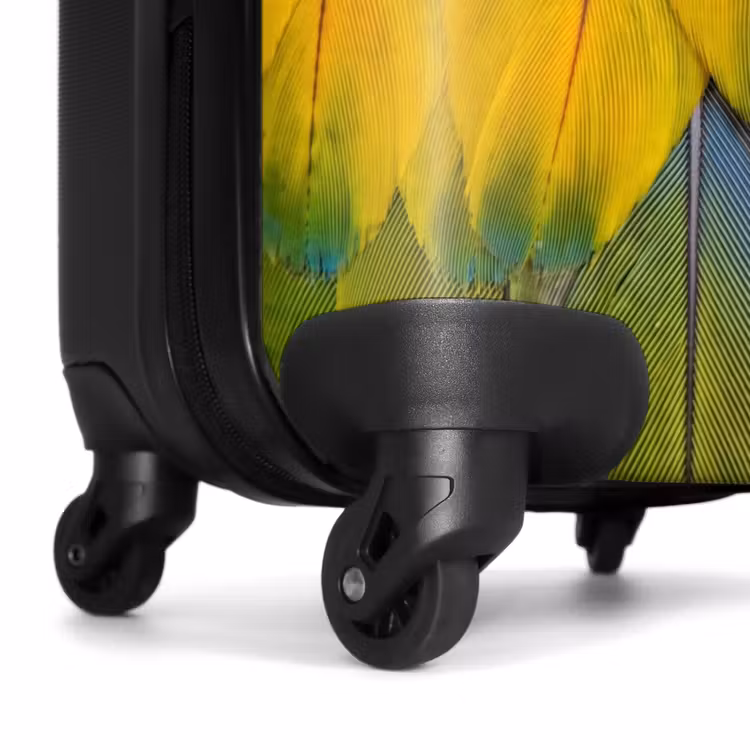 Valise - Plumes - Ara - Colorées — 7