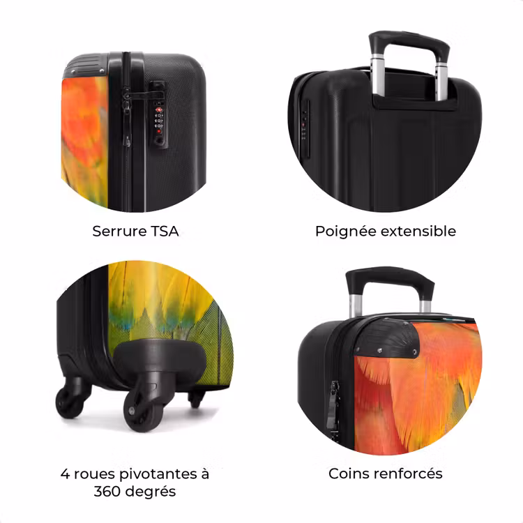 Valise - Plumes - Ara - Colorées — 8