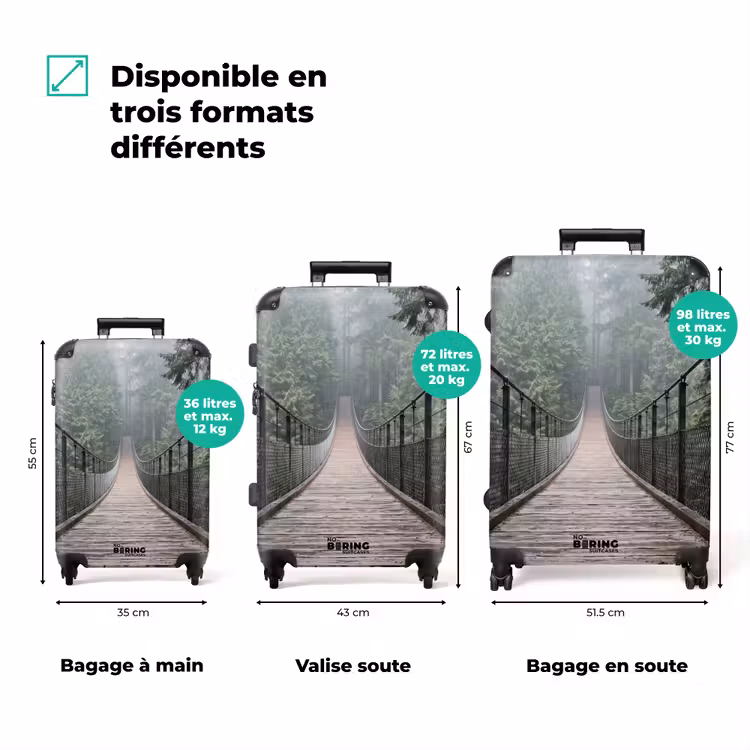 Valise - Pont - Forêt - Brouillard - Nature — 3
