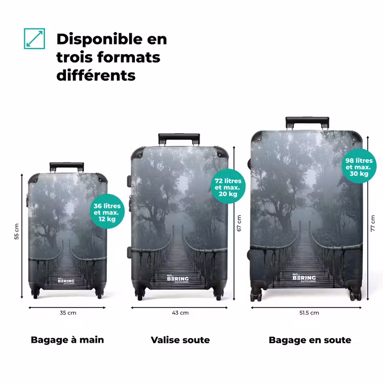 Valise - Pont - Jungle - Brouillard - Nature — 3