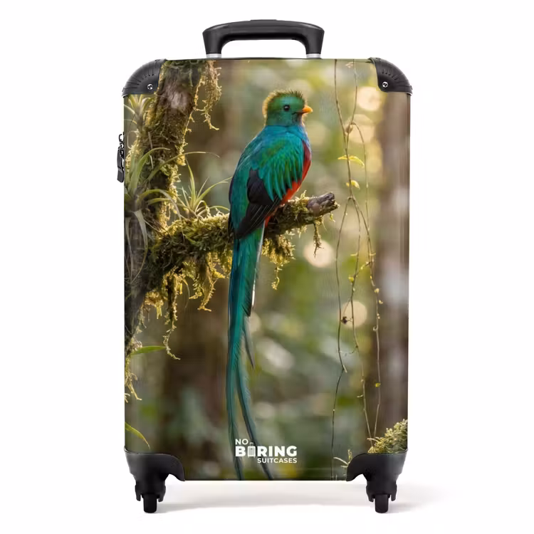 Valise - Quetzal - Jungle - Nature - Vert — 1