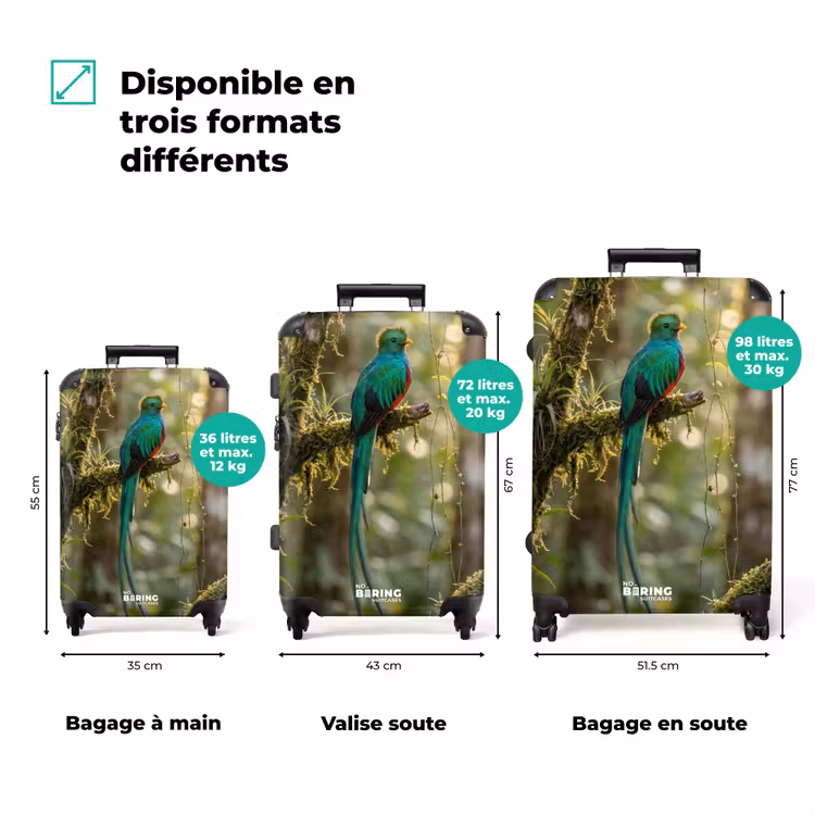 Valise - Quetzal - Jungle - Nature - Vert — 3
