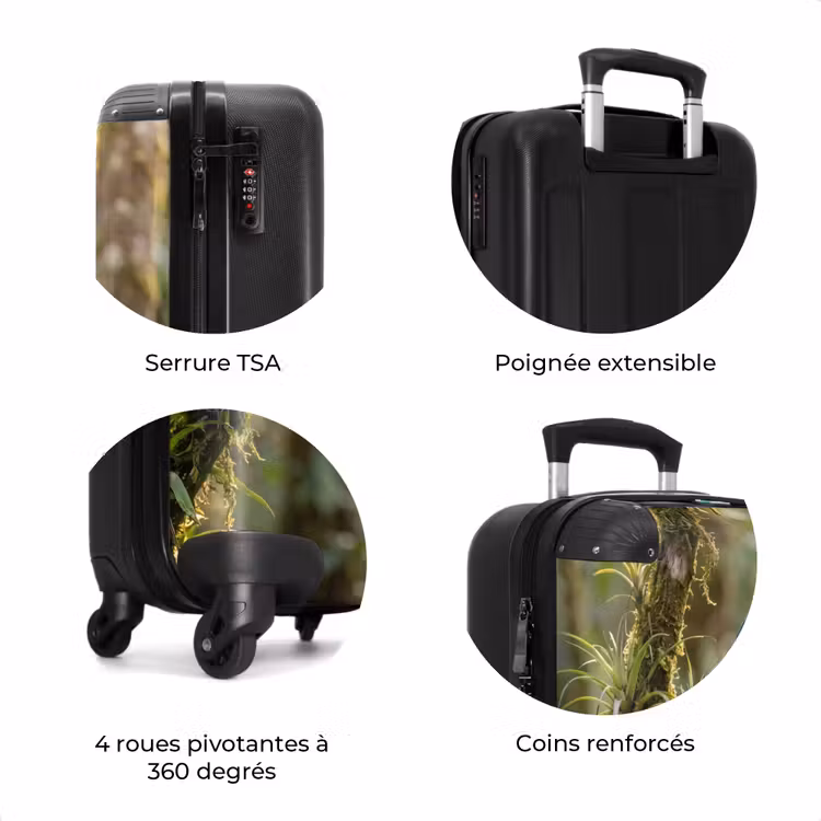 Valise - Quetzal - Jungle - Nature - Vert — 8