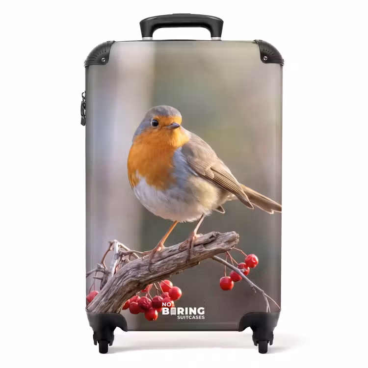 Valise - Rouge-gorge - Branche - Baies - Nature — 1
