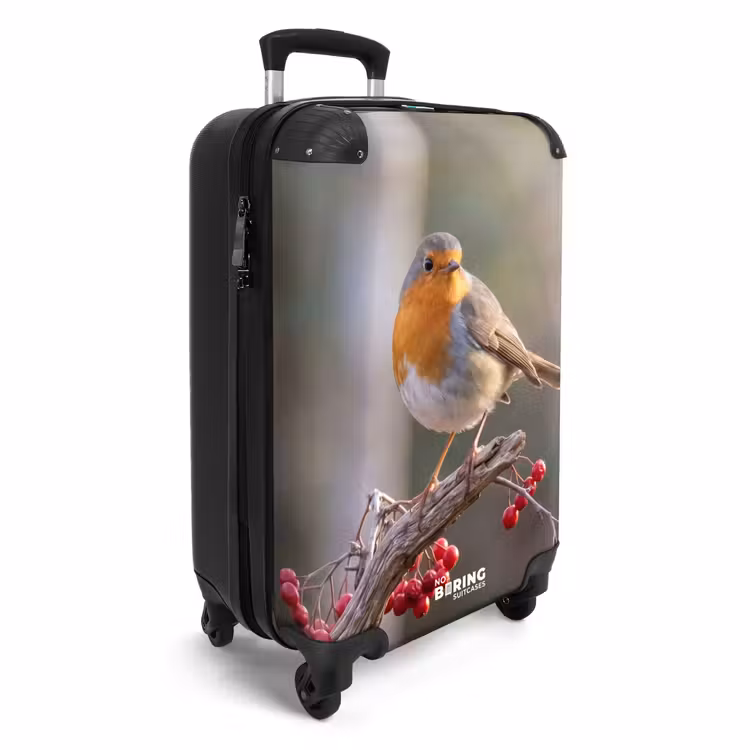 Valise - Rouge-gorge - Branche - Baies - Nature — 2