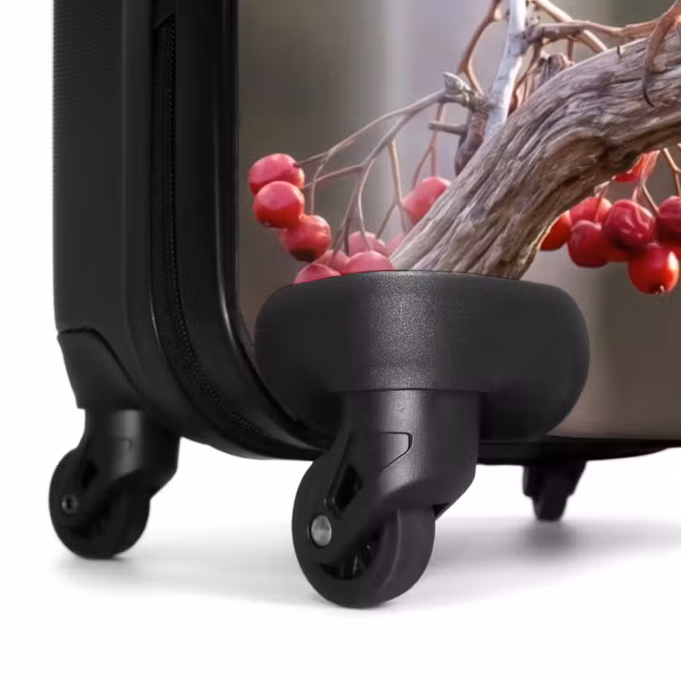 Valise - Rouge-gorge - Branche - Baies - Nature — 7