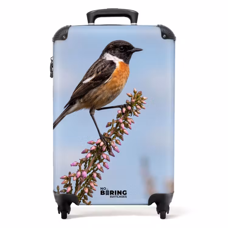 Valise - Rouge-gorge familier - Landes - Violet - Nature - Chaleureux — 1
