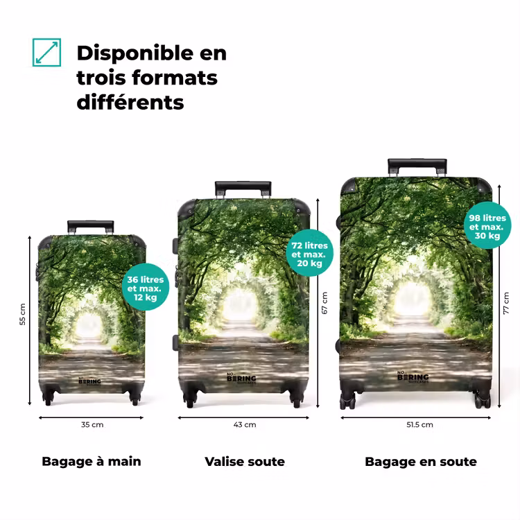Valise - Route - Arbres - Nature - Espaces verts — 3