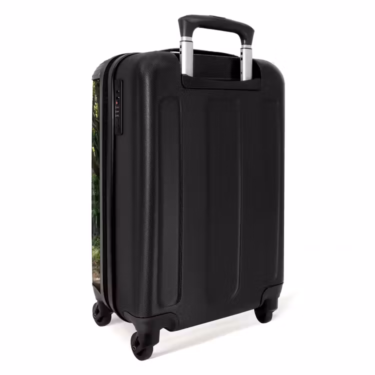 Valise - Route - Arbres - Nature - Espaces verts — 4