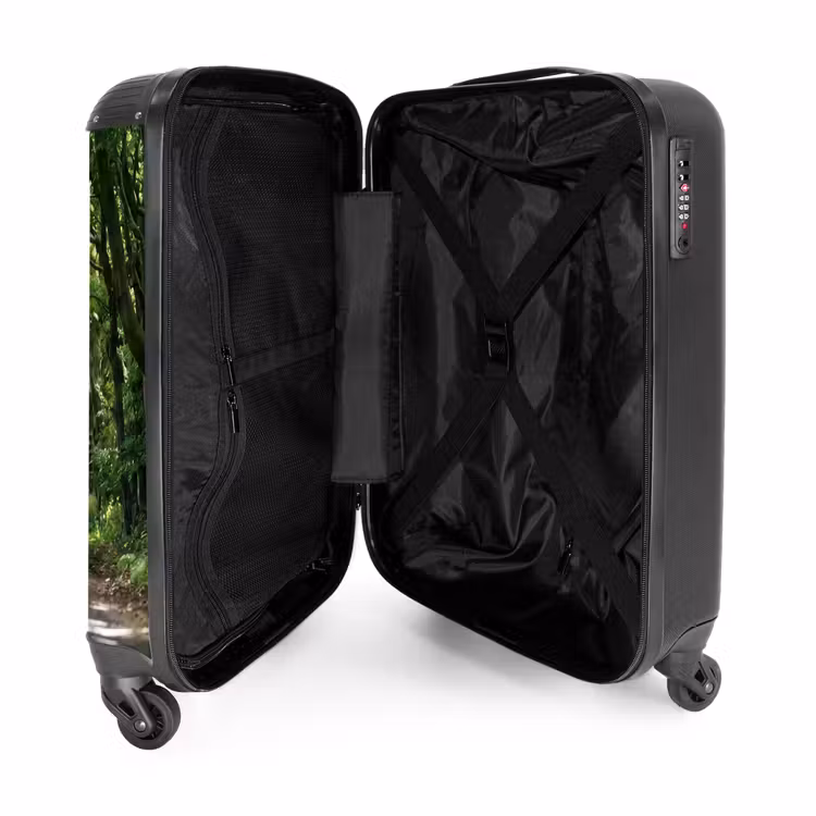 Valise - Route - Arbres - Nature - Espaces verts — 5