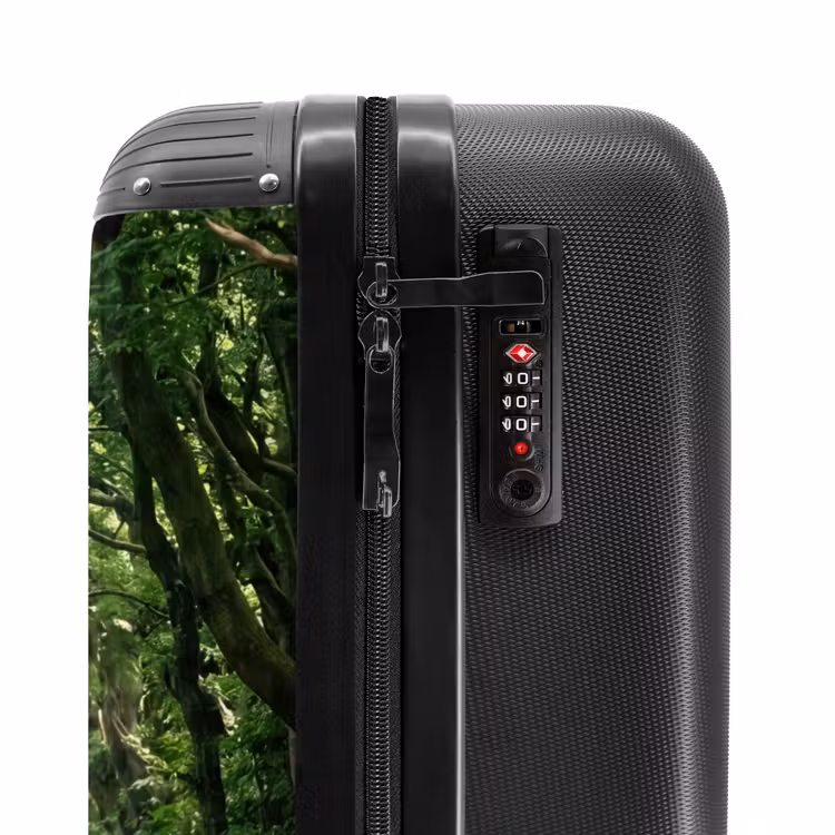 Valise - Route - Arbres - Nature - Espaces verts — 6