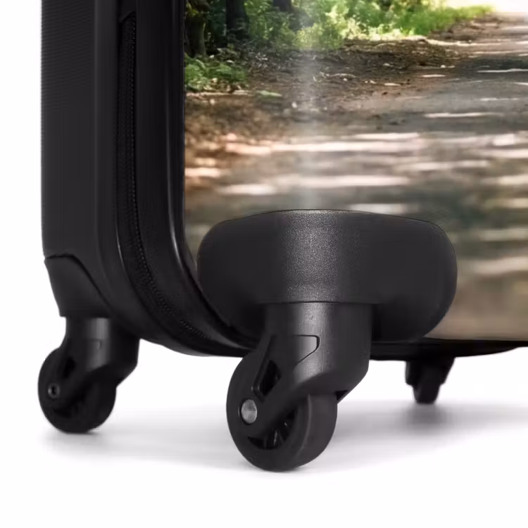 Valise - Route - Arbres - Nature - Espaces verts — 7
