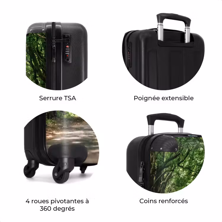 Valise - Route - Arbres - Nature - Espaces verts — 8