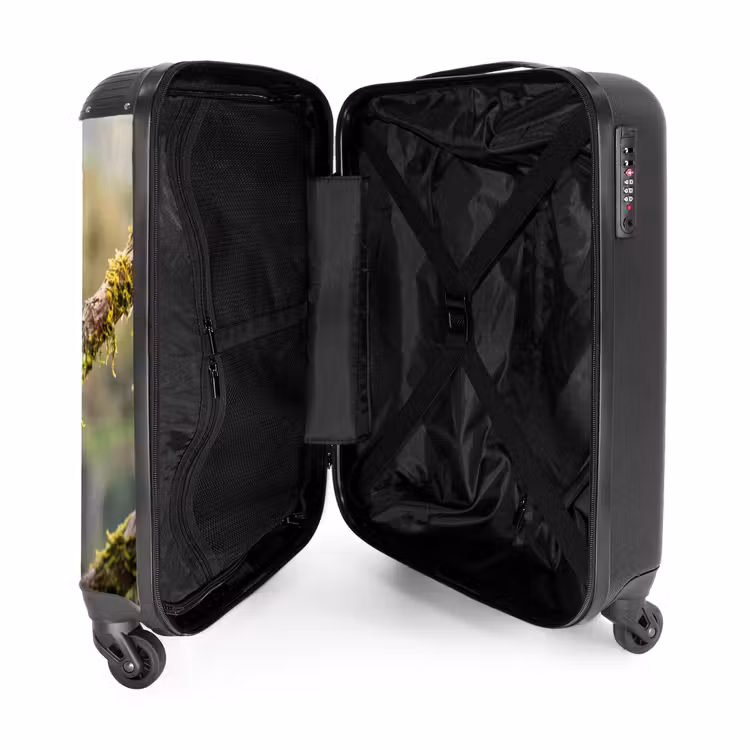 Valise - Toucan - Jungle - Nature - Coloré — 5