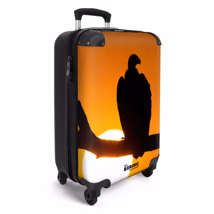 Valise - Vautour - Branche - Soleil - Orange — 2