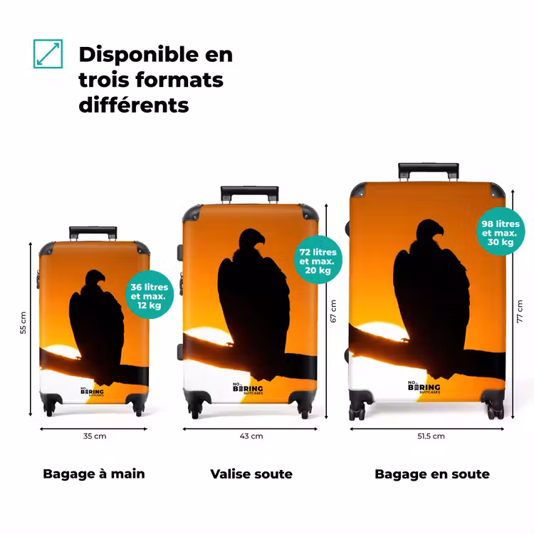 Valise - Vautour - Branche - Soleil - Orange — 3
