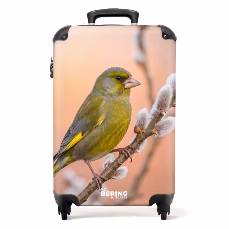 Valise - Vérnon - Chaton - Printemps - Nature - Doux — 1