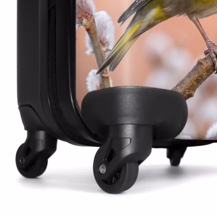 Valise - Vérnon - Chaton - Printemps - Nature - Doux — 7