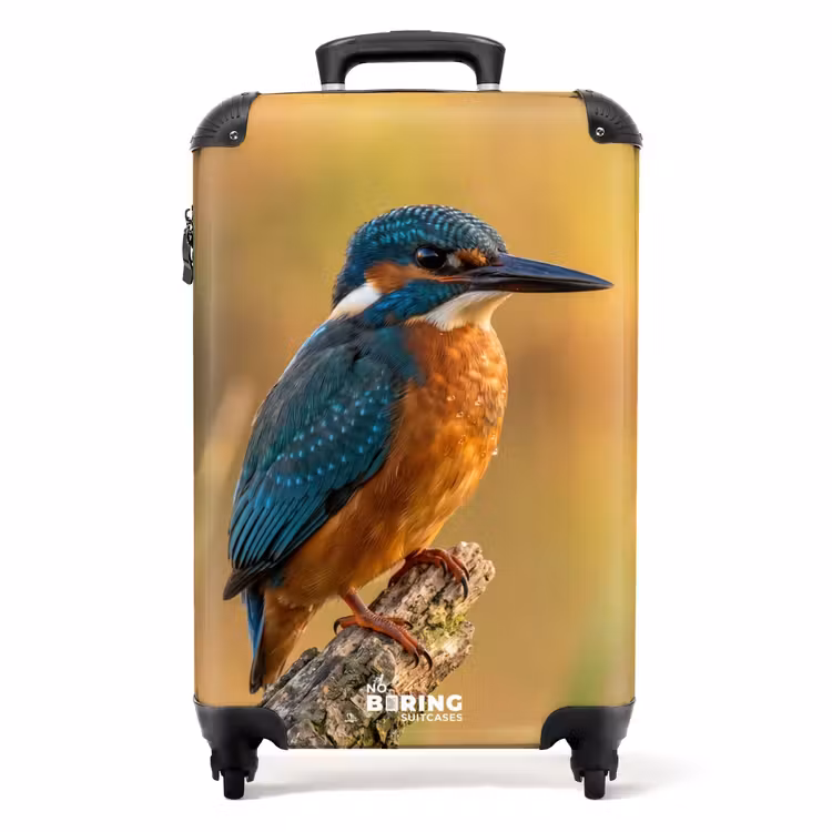 Valise - Martin-pêcheur - Branche - Eau - Coloré - Vivant — 1