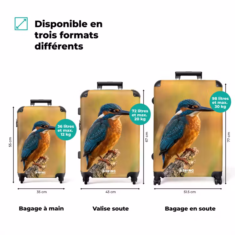Valise - Martin-pêcheur - Branche - Eau - Coloré - Vivant — 3
