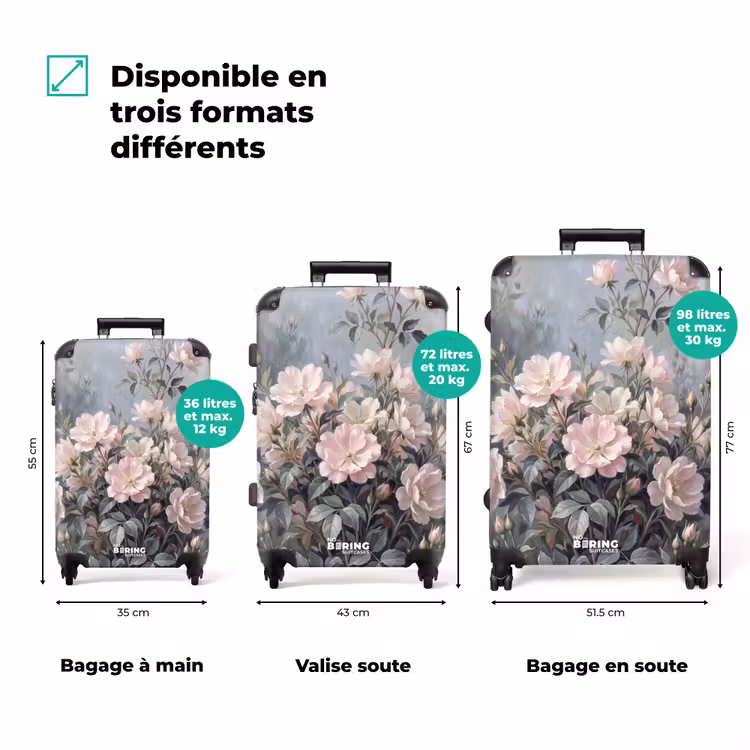 Valise - Roses - Illustration - Rose — 1