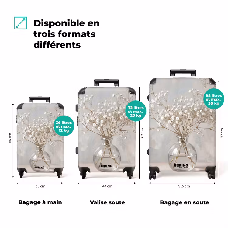 Valise - Vase - Gypsophile - Blanc — 1