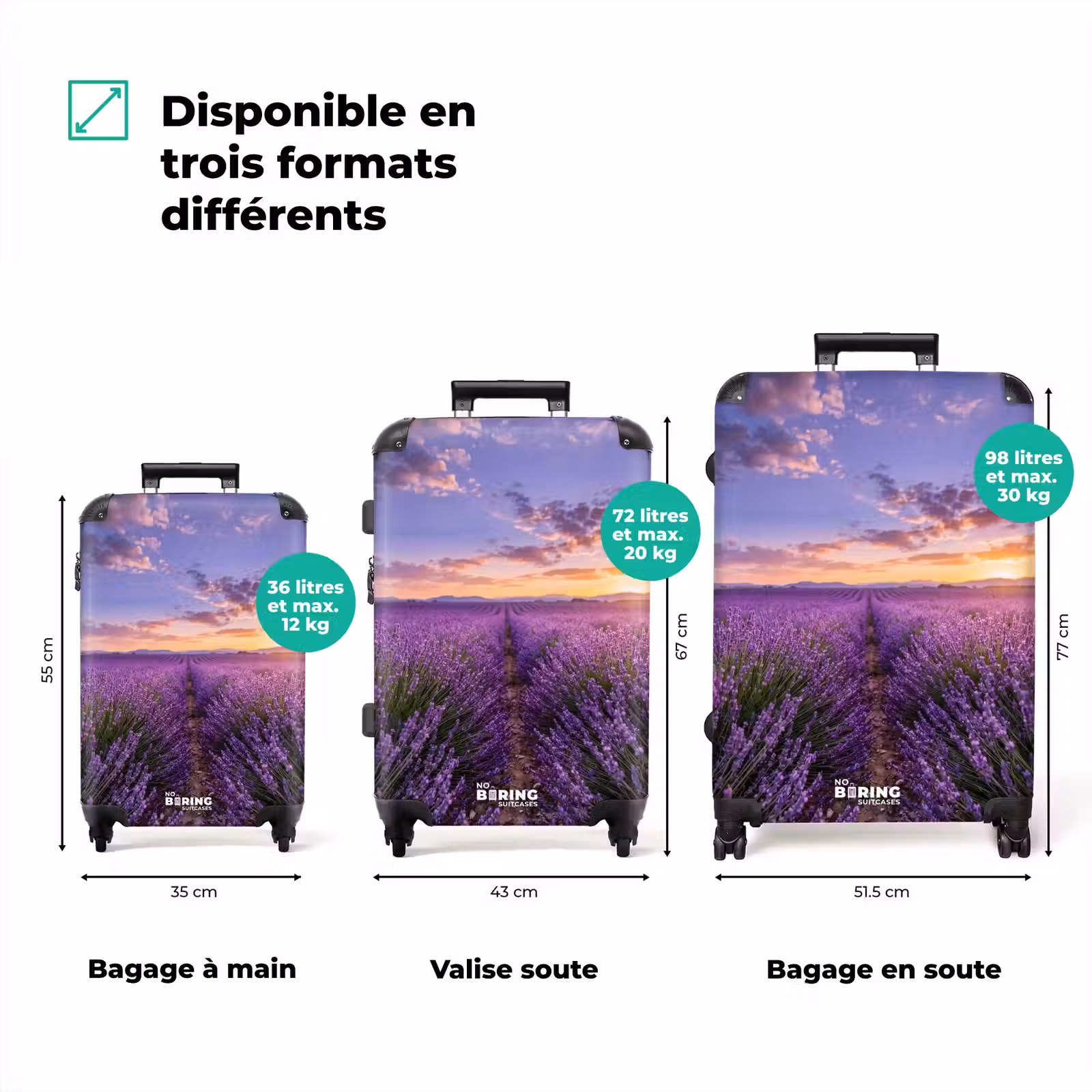 Valise - Lavande - Champ - Nature - Violet — 1