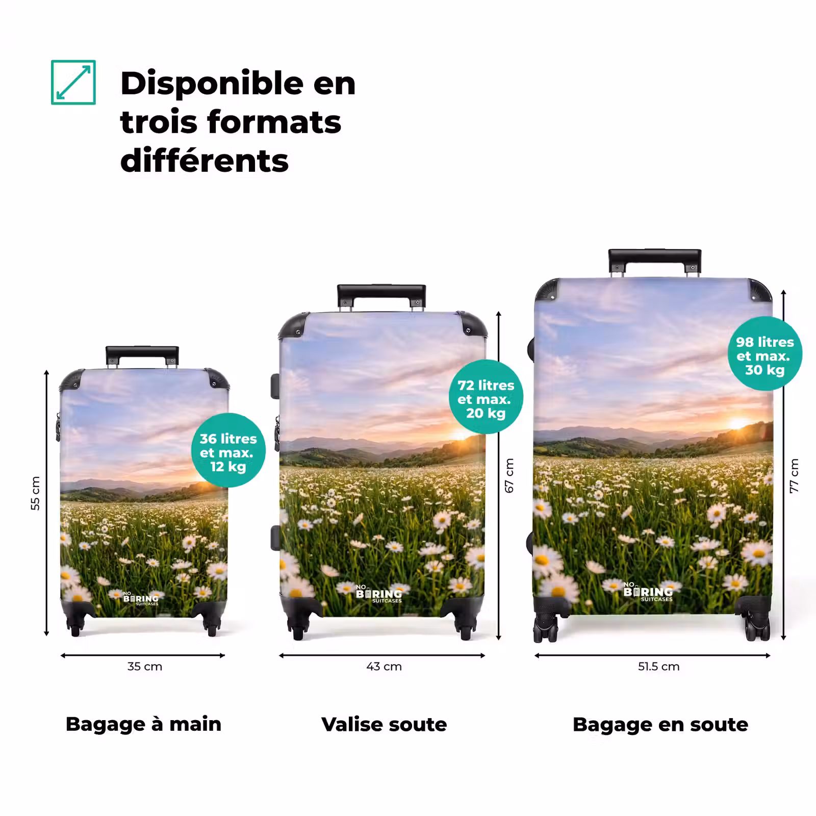 Valise - Pâquerette - Champ - Collines - Vert — 1