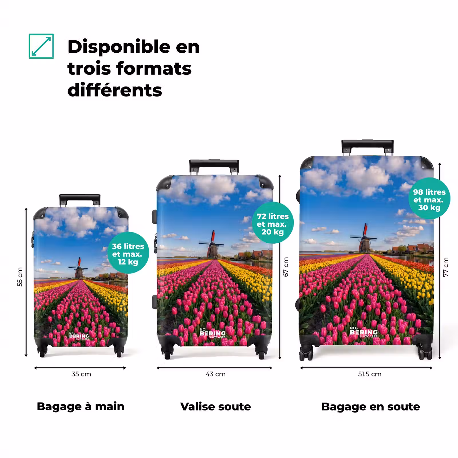 Valise - Tulipes - Pays-Bas - Moulin - Coloré — 1