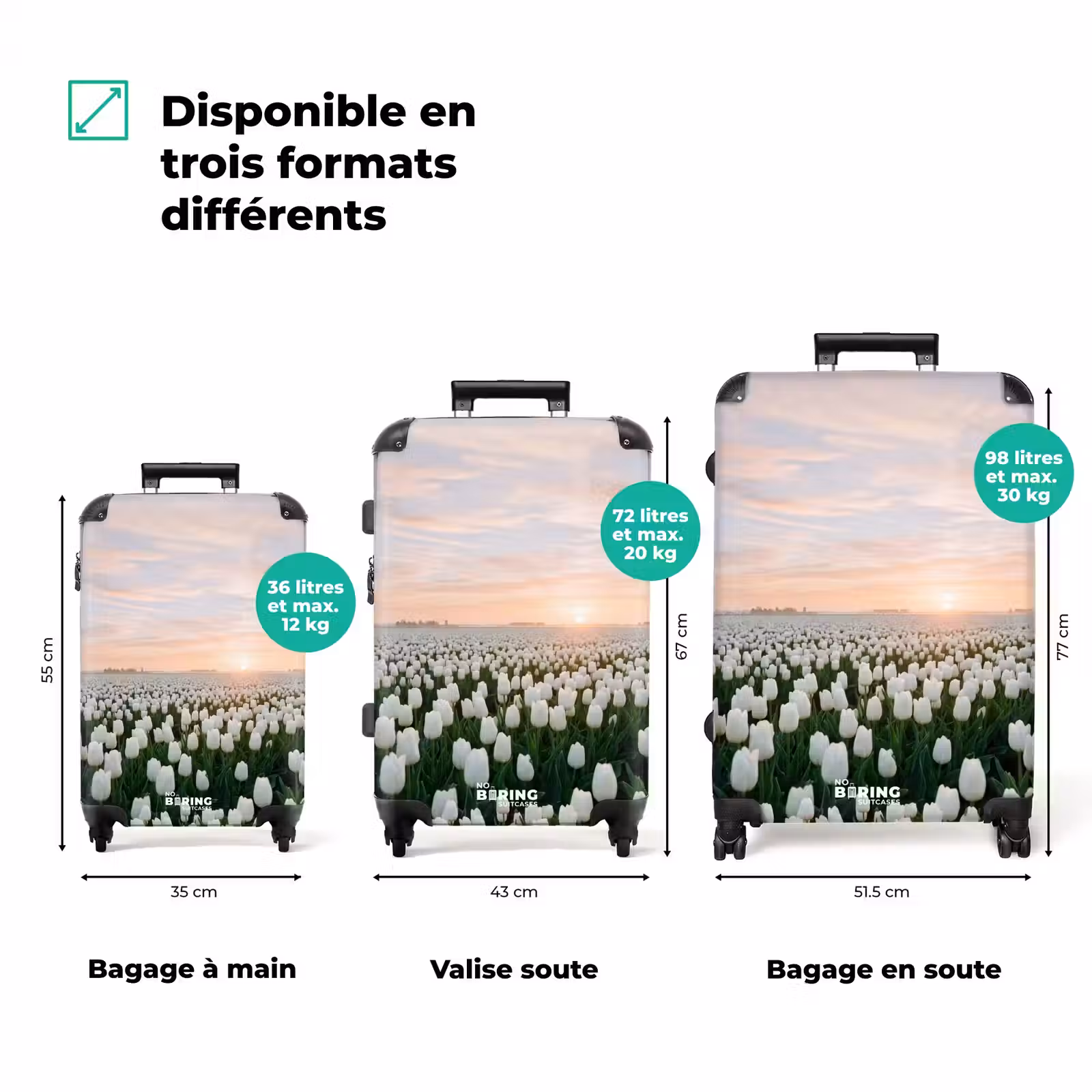 Valise - Tulipes - Paysage - Blanc — 1