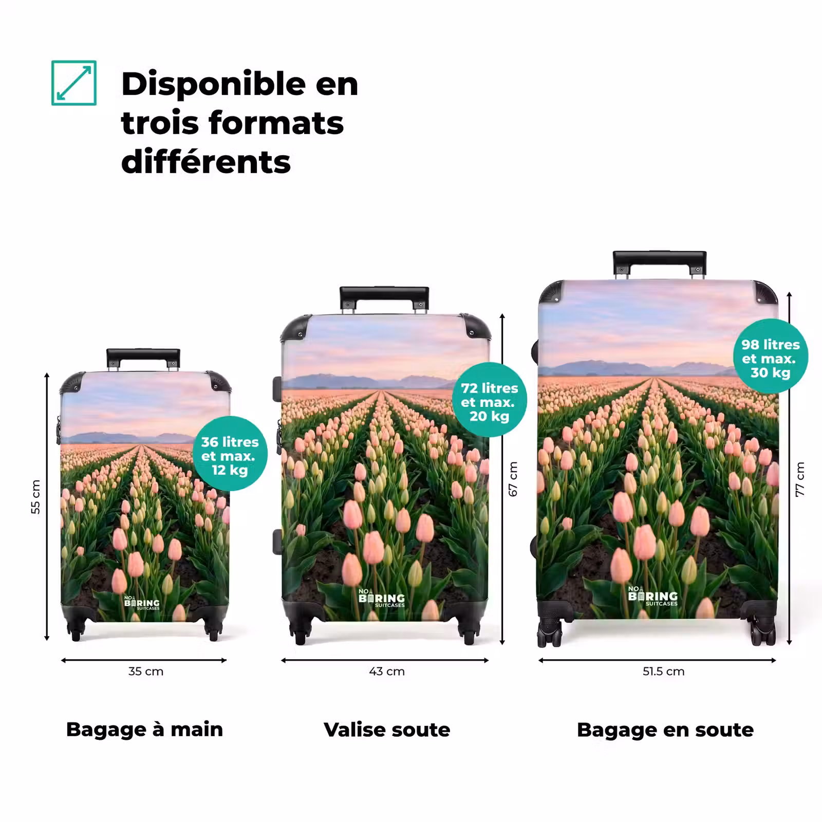 Valise - Tulipes - Paysage - Rose — 1