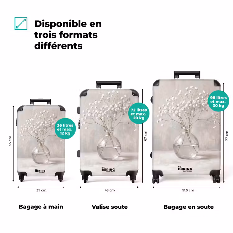 Valise - Gypsophile - Vase - Blanc — 1