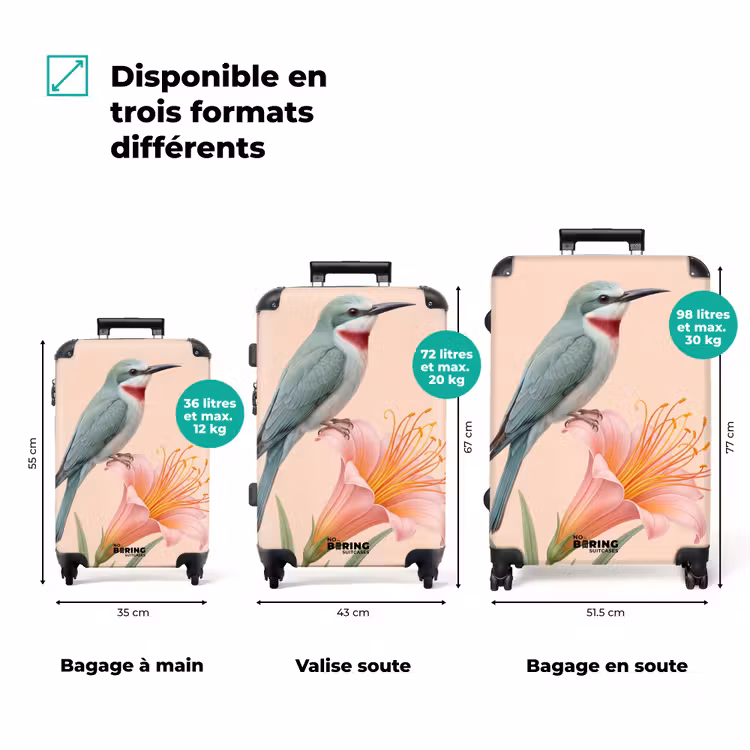 Valise - Oiseau - Fleur - Nature - Rose — 1