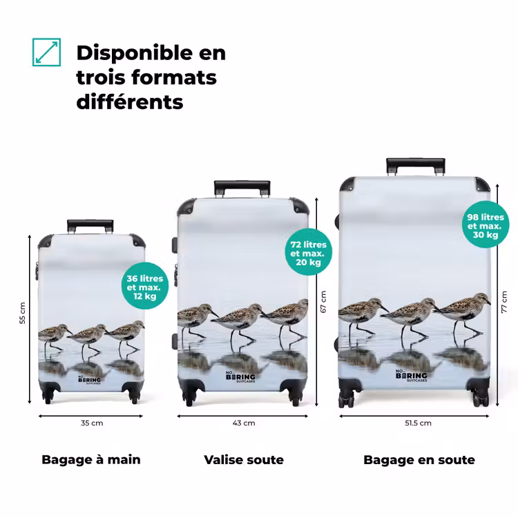 Valise - Oiseaux - Eau - Gris — 1