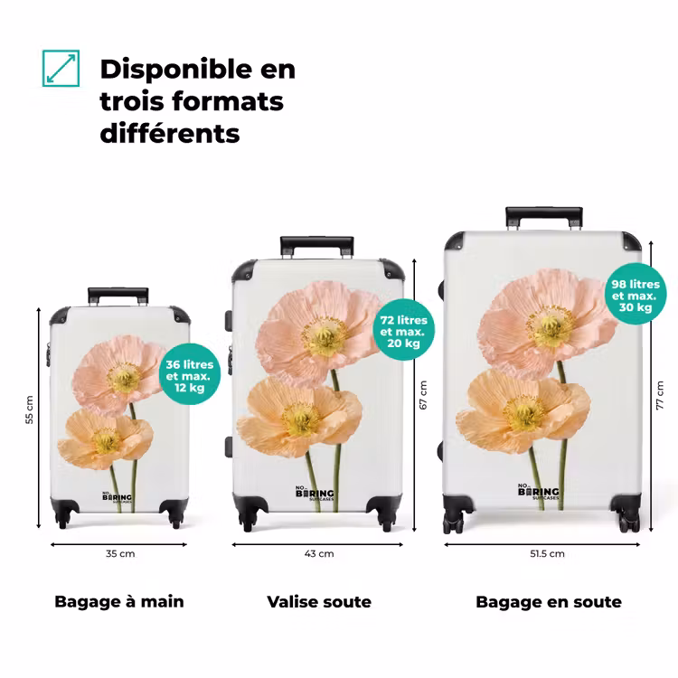 Valise - Pavots - Botanique - Rose — 1