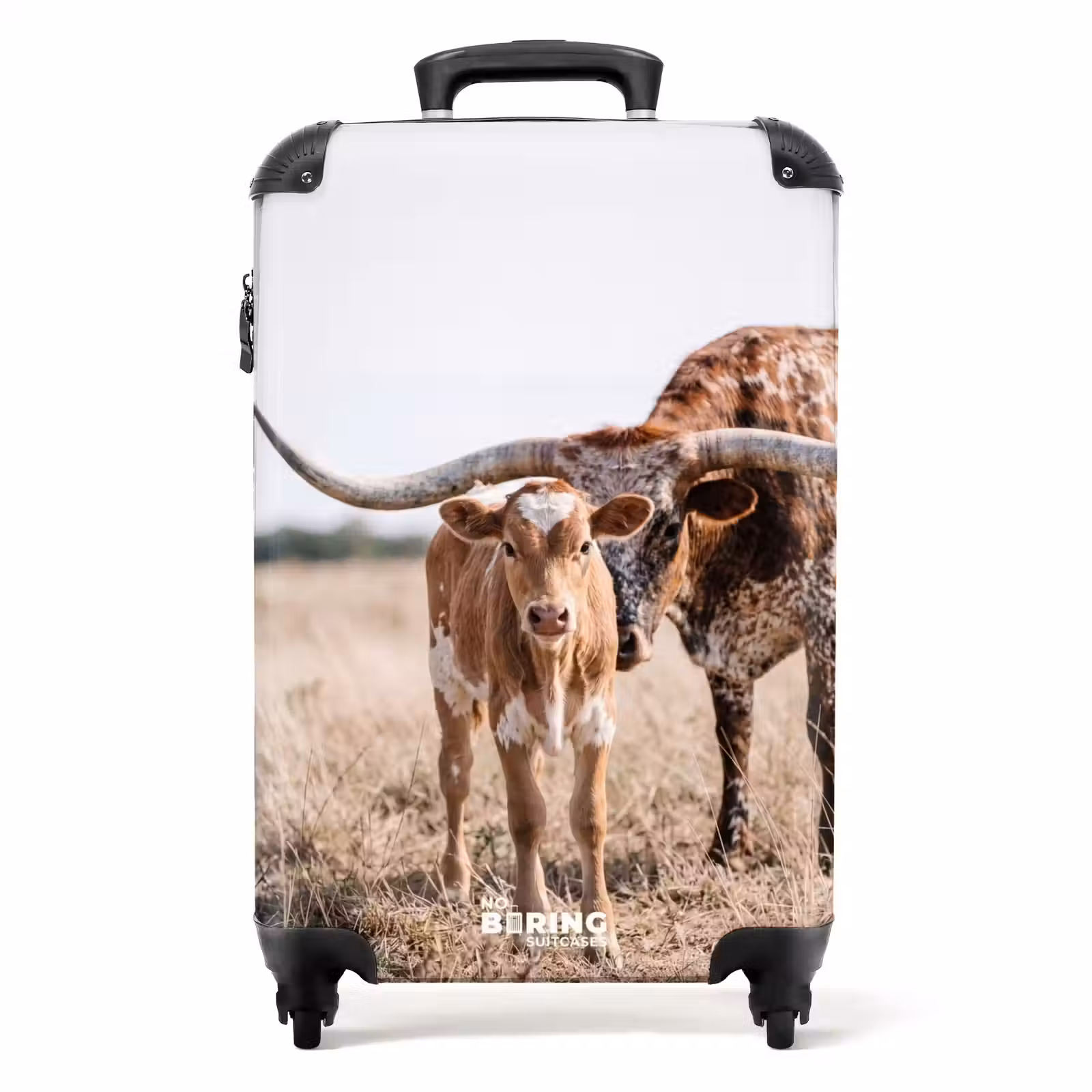 Valise - Longhorn du Texas - Veau - Pâturage - Animaux — 1