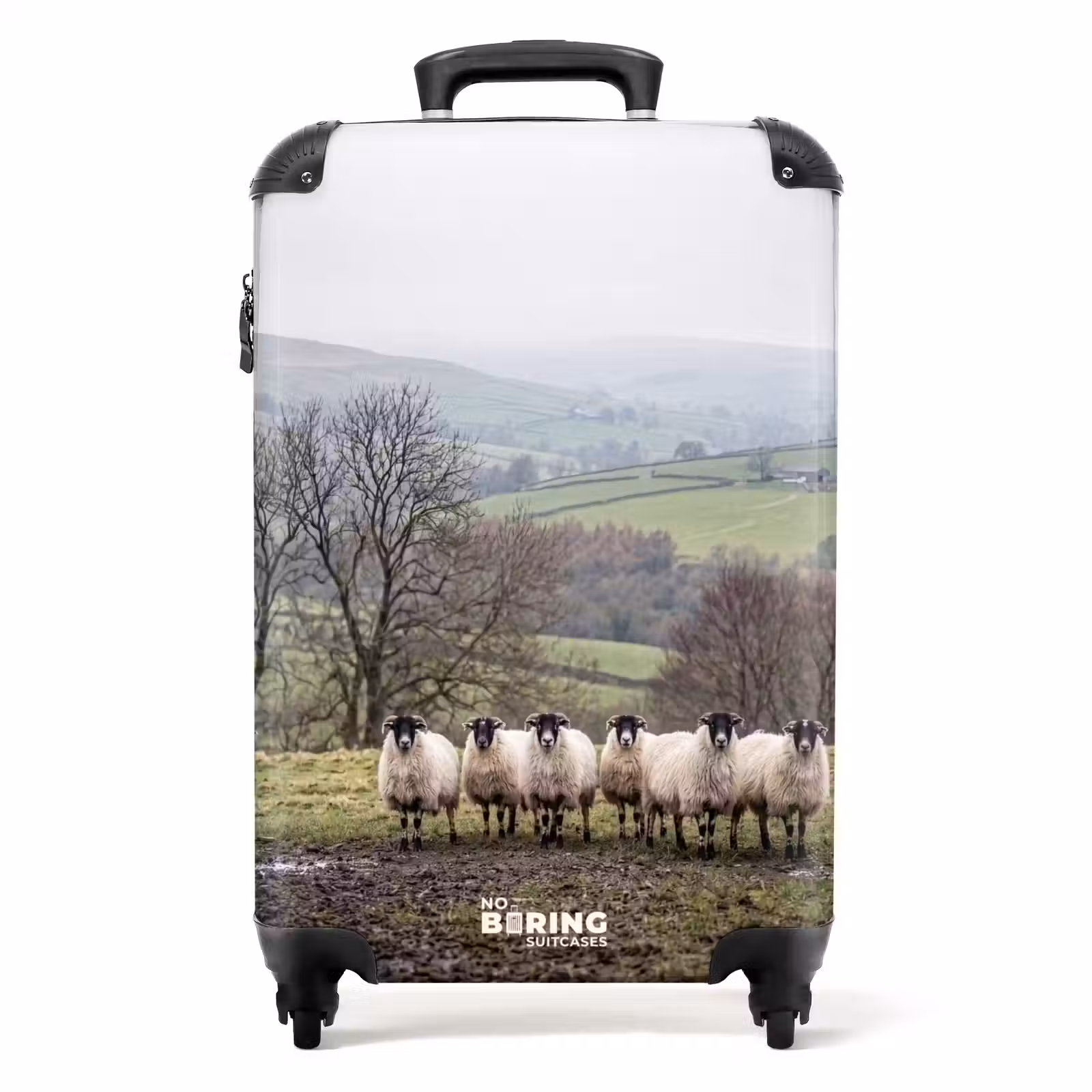 Valise - Moutons - Chemin - Prairie - Animaux - Campagne — 1