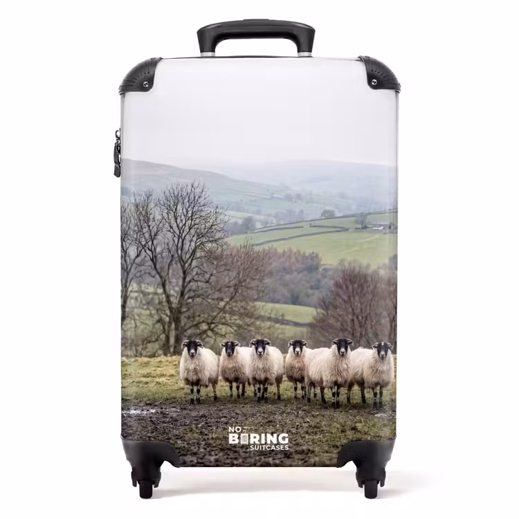 Valise - Moutons - Chemin - Prairie - Animaux - Campagne — 1