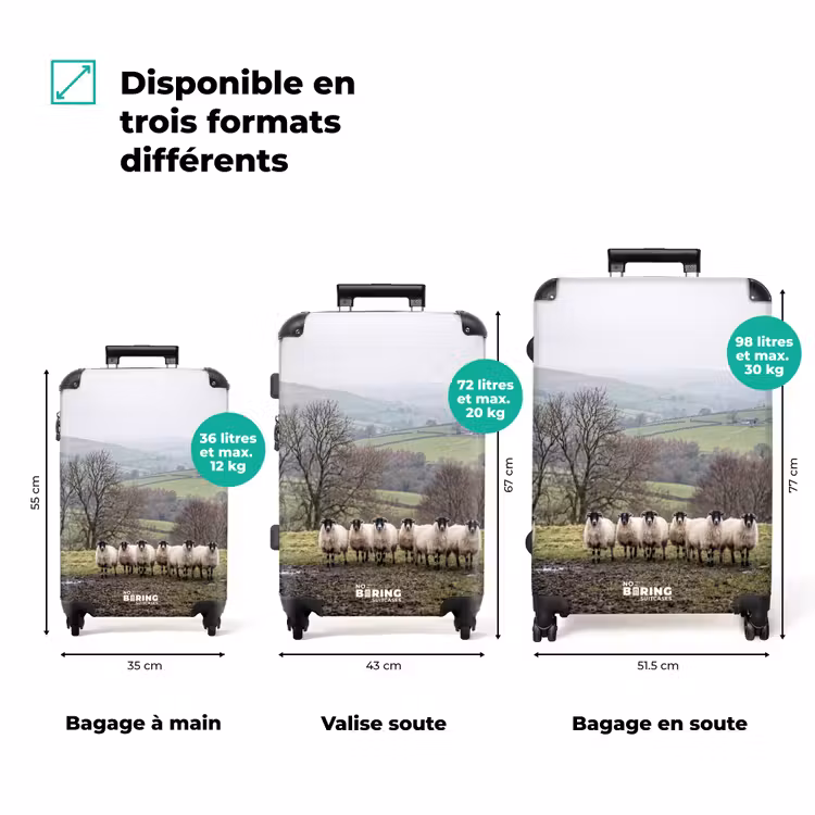 Valise - Moutons - Chemin - Prairie - Animaux - Campagne — 3