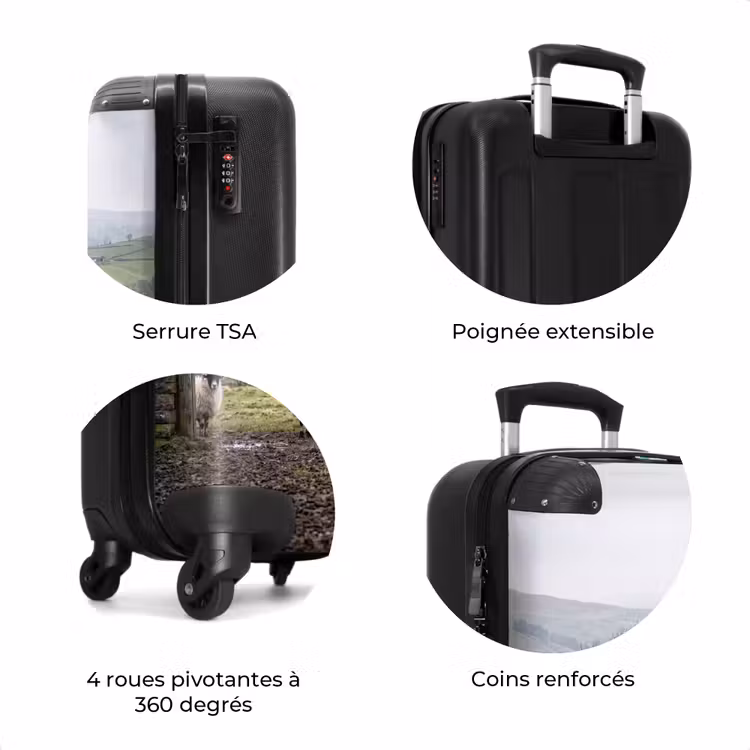Valise - Moutons - Chemin - Prairie - Animaux - Campagne — 8