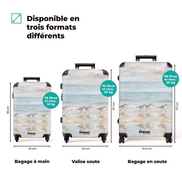 Valise - Oiseaux - Plage - Mer — 1
